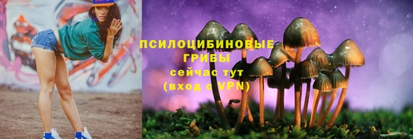дмт Аркадак