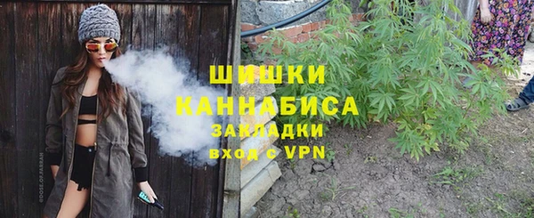 амф Арсеньев