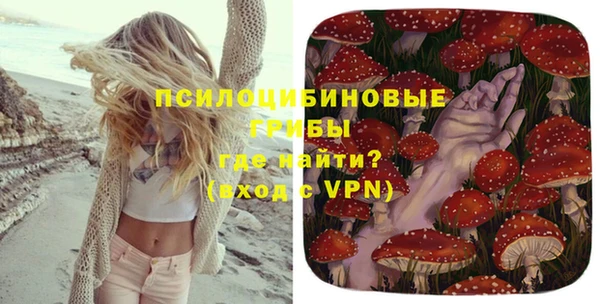 дмт Аркадак
