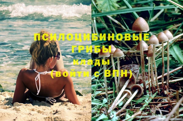амф Арсеньев